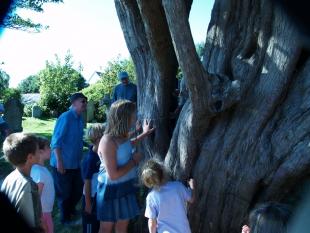 Measuring the Yew Tree with Barry 1-r