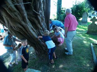 Measuring the Yew Tree with Barry Dennis and Drina-r