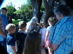 Measuring the Yew Tree with Drina 1-r